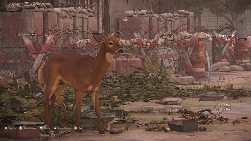 Illustration for article titled My Journey To Photograph All The Wildlife In The Division 2